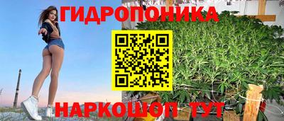 крисы Беслан