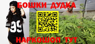 крисы Беслан