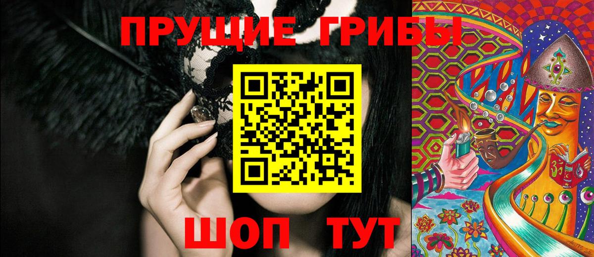 Выборг  Псилоцибиновые грибы ЛСД  Вход с VPN 